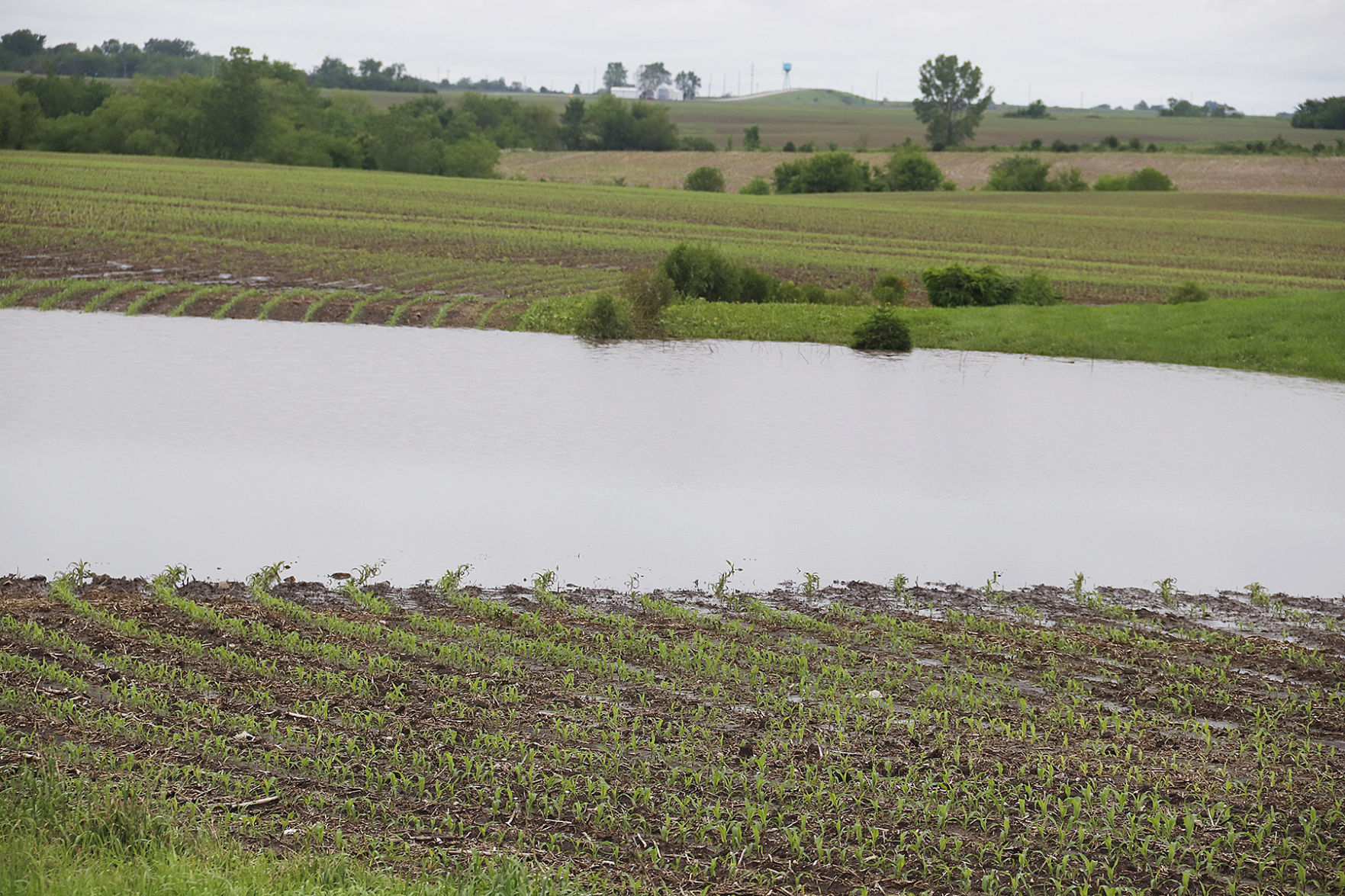 Eldon flooded field